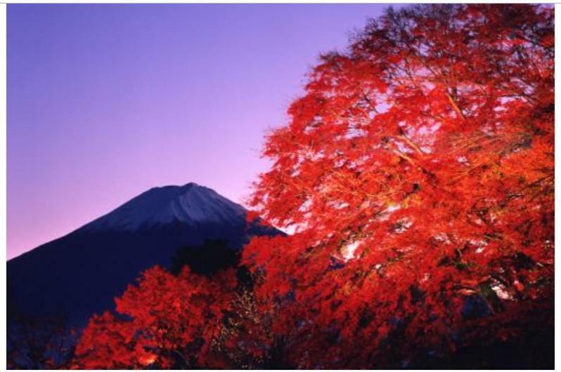 Erable Mt.Fuji "Kaze" Vila Fujikawaguchiko Exterior foto